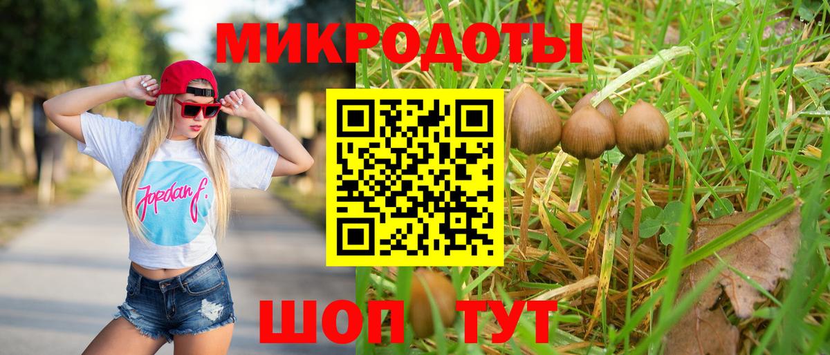 Псилоцибиновые грибы Cubensis Урюпинск